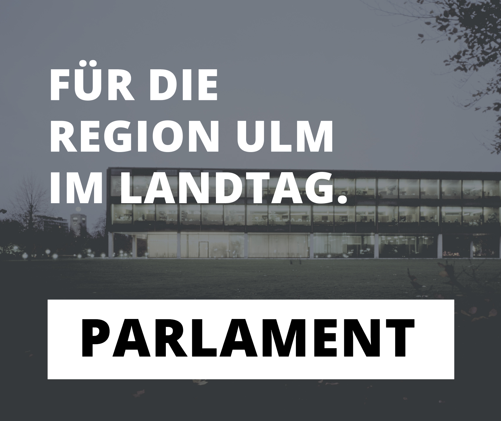 Martin Rivoir – Landtagsabgeordneter SPD, Wahlkreis Ulm/Alb-Donau – Container, Parlament